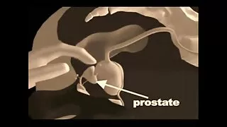 الشرج تجميع مواقع سكسي اجنبي سخيف مختلف الحمار الفتيات حتى النشوة