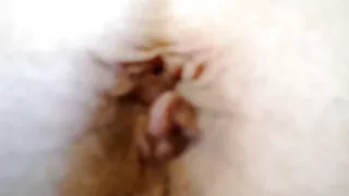 العمر موقع سكسي مفتوح اللعوب فول