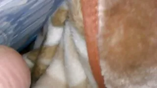 الممثلة الروسية الشابة نيتا اليشم يحب موقع سكسي لبناني الشرج المزح
