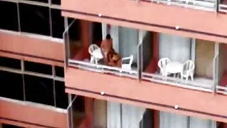 انها تضع مع ساقيها وبصرف النظر بحماس المداعبات نفسها مع موقع سكسي طالبات أصابعها